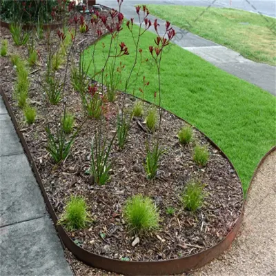 Décorer à l'extérieur les bordures de jardin/bordure en métal