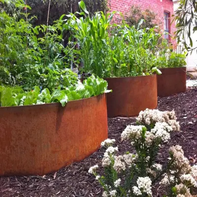 Bordure de jardin rouillée pour la séparation/bordure de jardin en acier Corten